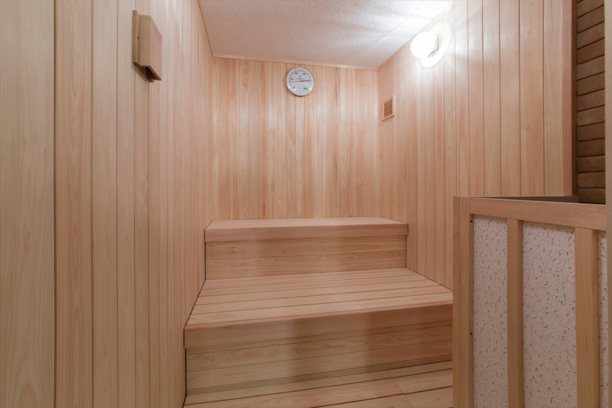 Hotel Rich Station South 3*